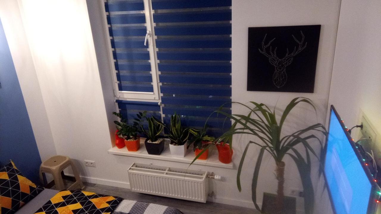 Georgeous Bright Studio In A Bright Residential Complex Comfort Town Кт-08 Kiev Luaran gambar
